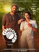 Ghoomer (2023) DVDScr Hindi Full Movie Watch Online Free