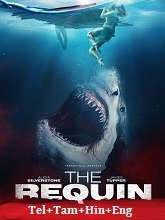 The Requin (2022) BRRip Original [Telugu + Tamil + Hindi + Eng] Dubbed Movie Watch Online Free